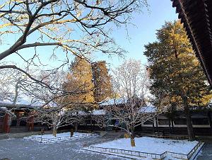 2023 12 PEKIN - PALAIS D ETE (28)